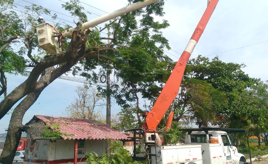 Electricaribe realizará podas técnicas en sectores de Galapa y Baranoa