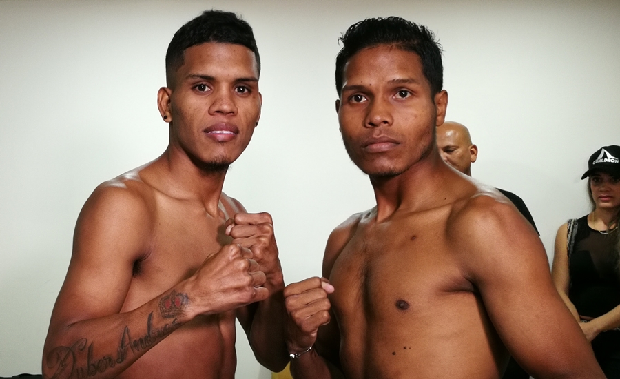 Este viernes es noche de buen boxeo en el palacio de combates Baby Sugar Rojas