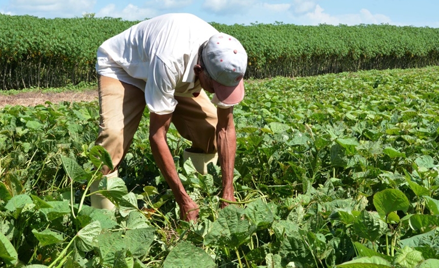 Reconocimiento a campesinas y campesinos de la región Caribe e Insular impactados por el conflicto armado