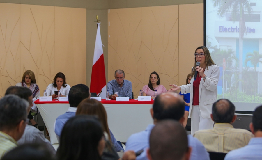 “Deben entregarse las condiciones para que la Región Caribe tenga un gran operador del servicio de energía”: Verano