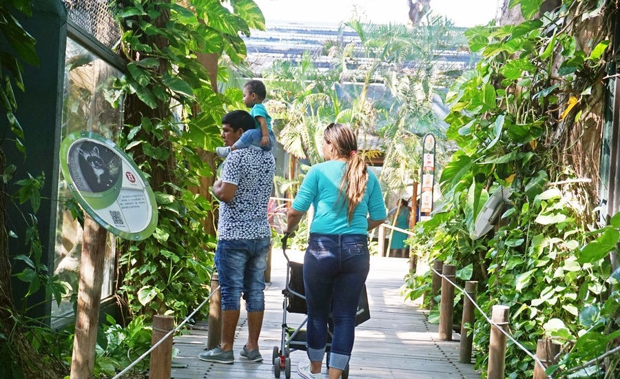El Zoológico de Barranquilla prepara vacaciones sostenibles para este fin de año