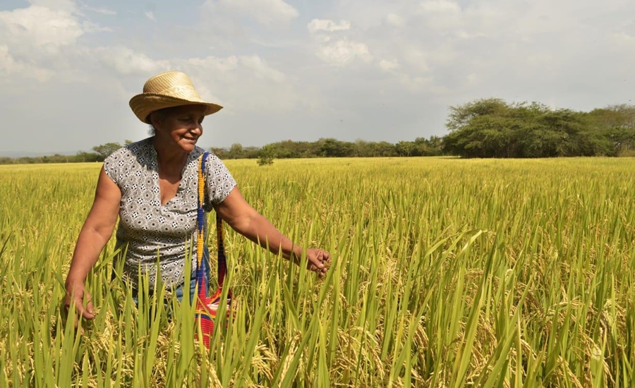 “Tenemos que trabajar por la reactivación económica del Atlántico para el día después de la pandemia”: Elsa Noguera