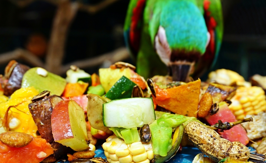 FENALCO Atlántico anunció apoyo al Zoológico de Barranquilla