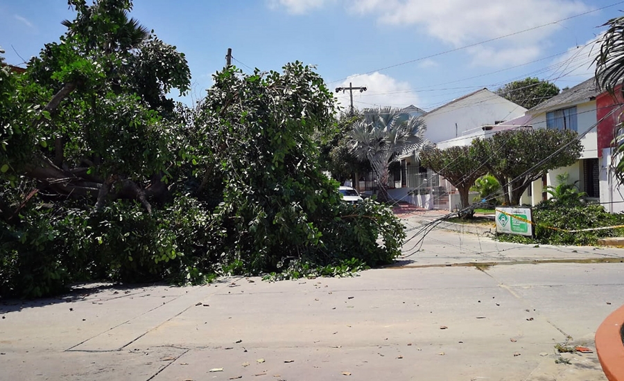 Por alerta del IDEAM sobre temporada de huracanes, Distrito recomienda tomar medidas preventivas