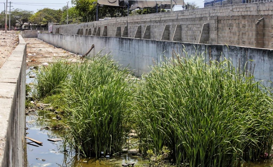 Limpieza del arroyo Salamanca una estrategia de Soledad Cero Basura