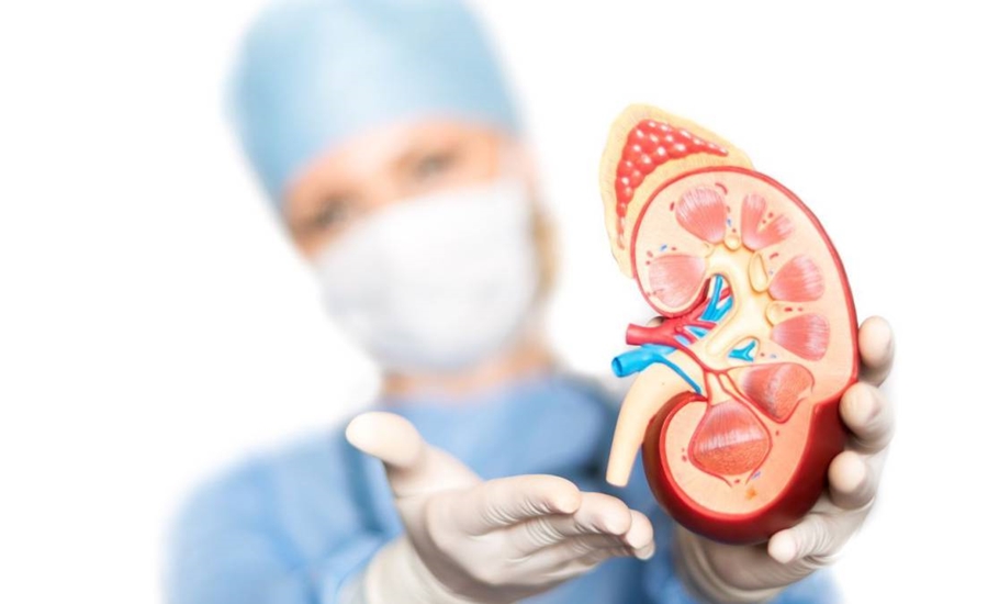 Qué significa tener Enfermedad Renal Crónica durante la pandemia