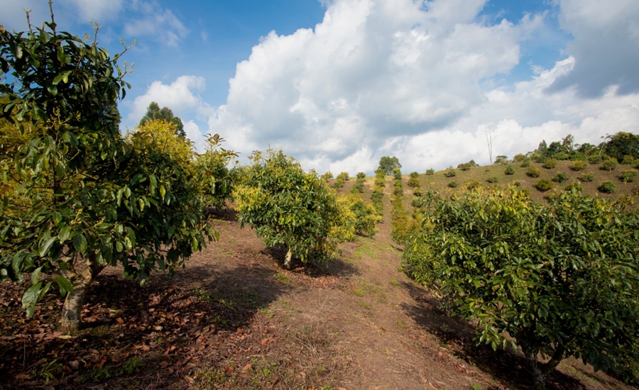 UPRA inicia capacitación con Boyacá, Atlántico y Bolívar para la operación evaluaciones agropecuarias municipales (EVA 2019-2020)