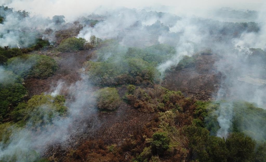 Barranquilla presentará estrategia integral cero incendios en Parque Isla Salamanca