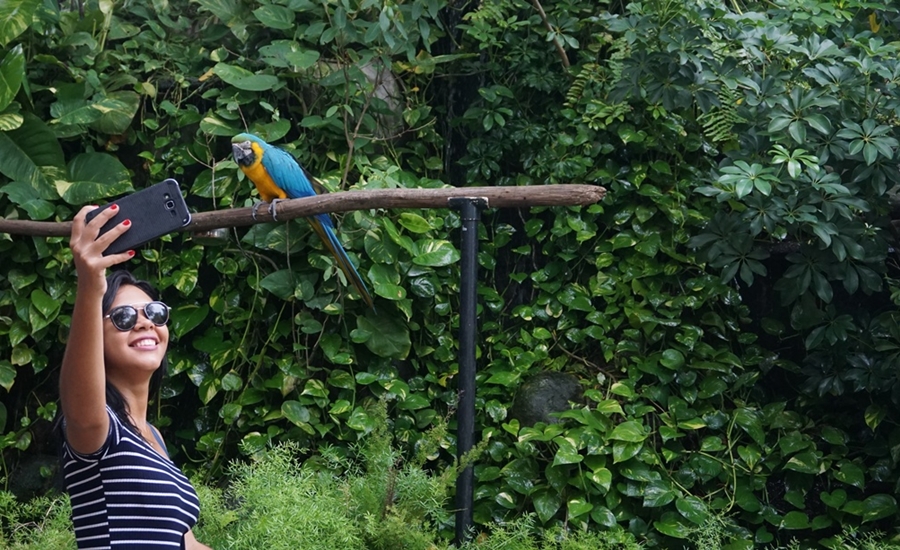 Este 23 de septiembre, El Zoológico de Barranquilla abrirá nuevamente sus puertas