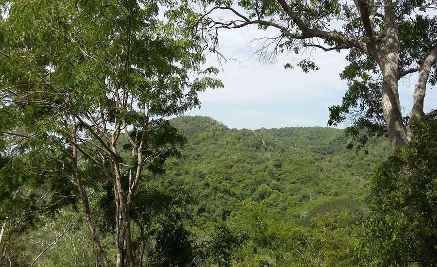 Con 150 nuevas hectáreas en Luriza, se amplía conservación de fauna y flora: C.R.A