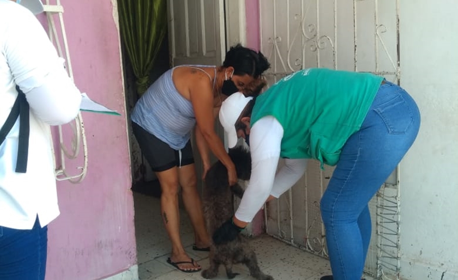 Barranquilla no baja la guardia en prevención de rabia animal