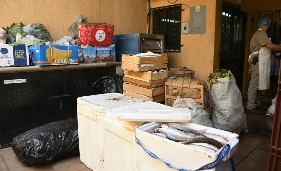 Distrito mantiene compromiso permanente con animales del Zoológico de Barranquilla