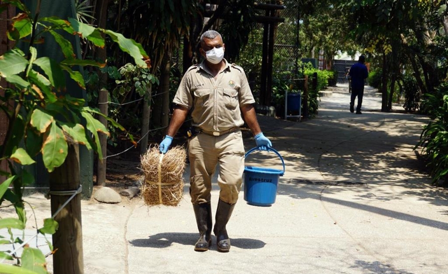 Zoológico de Barranquilla se prepara para su reapertura