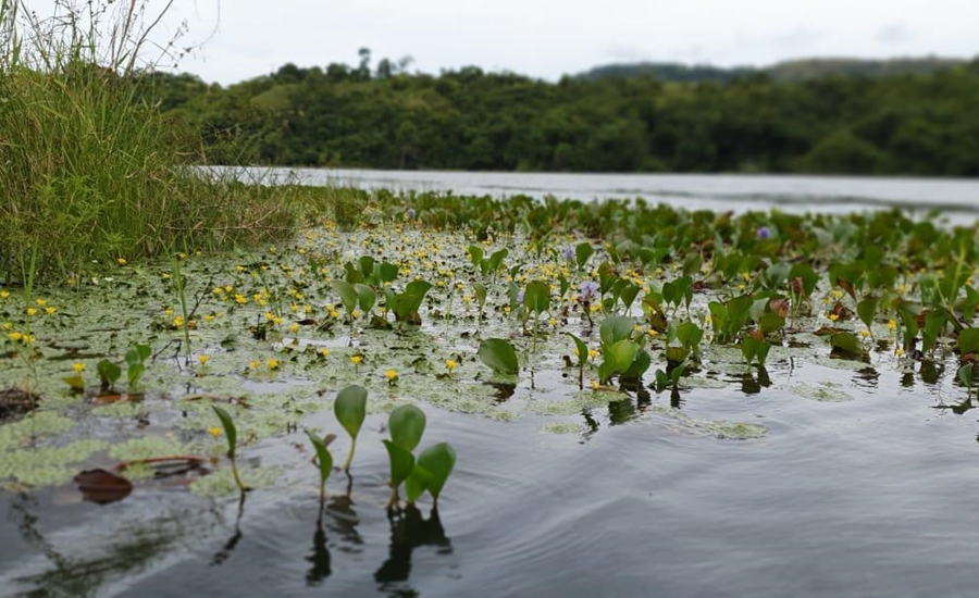 Gobierno nacional impulsa reactivación de la economía desarrollando el ecoturismo en el río Magdalena