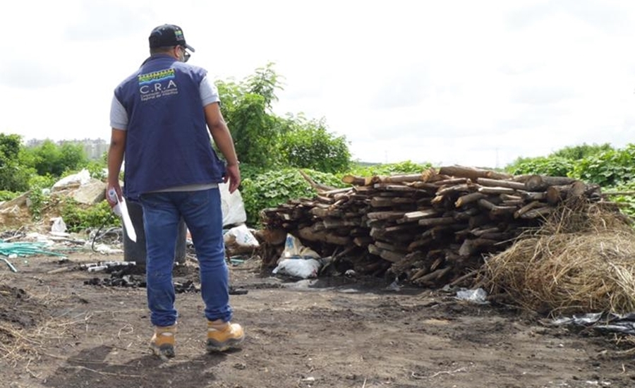 C.R.A y Policía decomisan madera que sería procesada en carbón vegetal