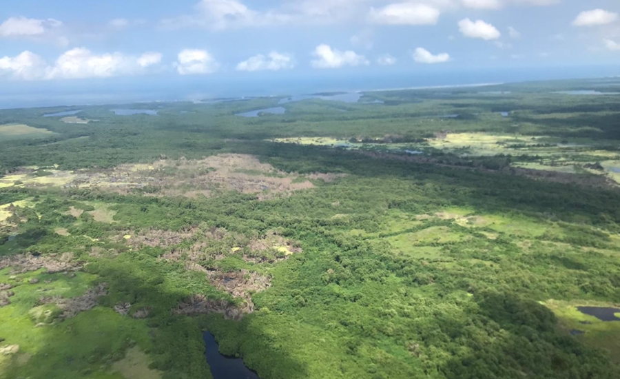 Continúan las labores de monitoreo en Isla Salamanca