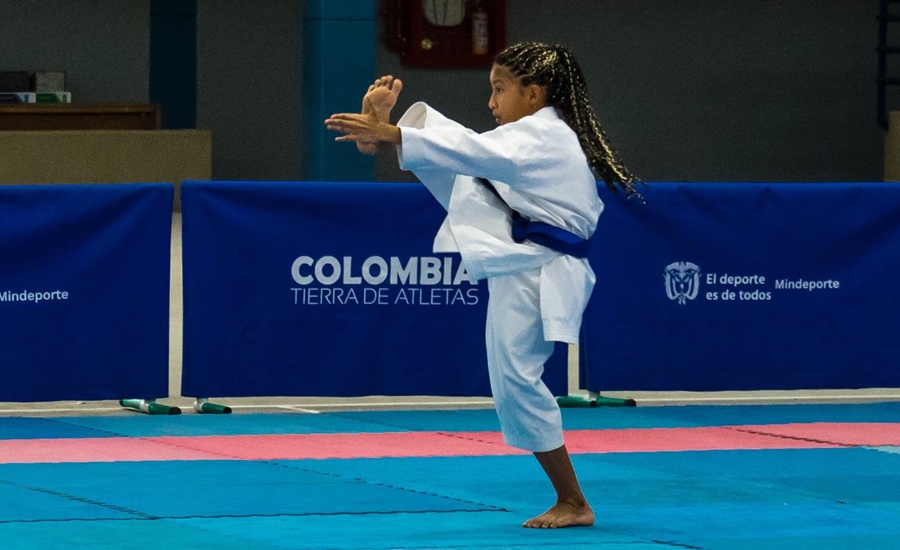 Indeportes presenta el Torneo Virtual  Departamental de Karate Do