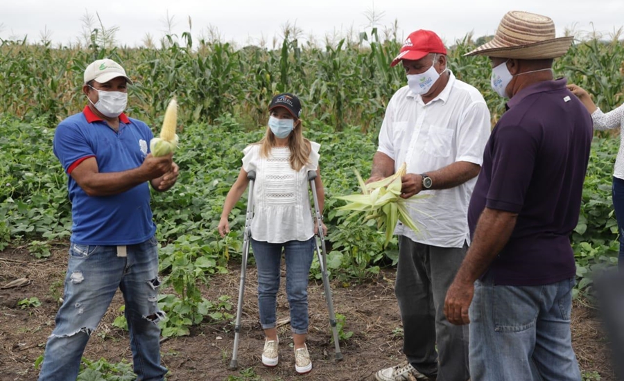 Gobernación llegó hasta Manatí para inspeccionar el avance de la siembra de ‘Semillas de Vida’