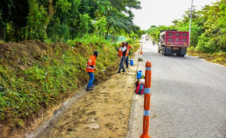 Avanzan trabajos de poda y limpieza en los corredores viales del Atlántico