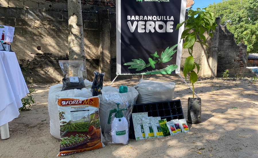 ‘Mi Huerta en Casa’, otra iniciativa para una biodiverciudad