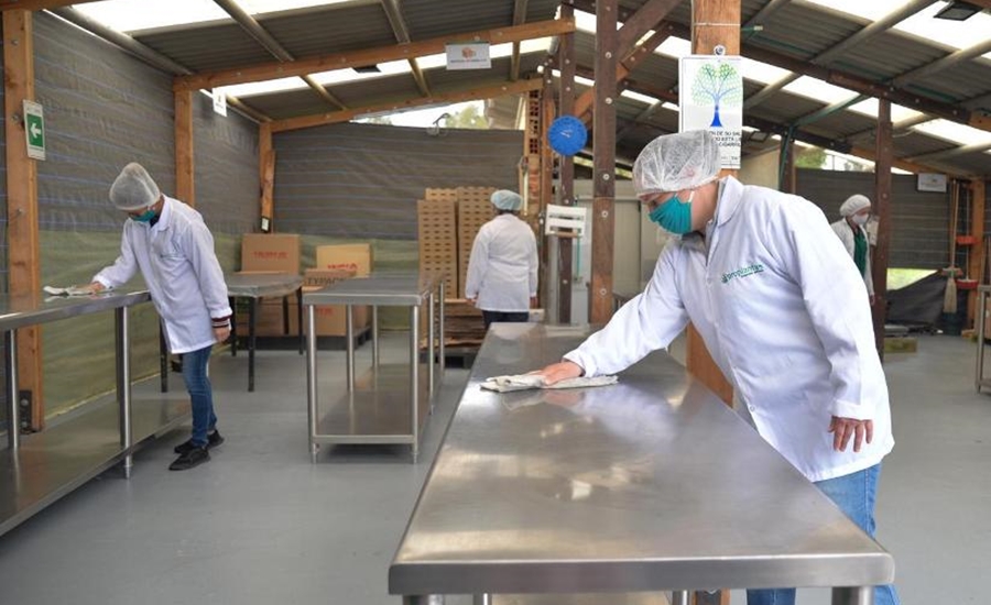 Trabajadores colombianos tendrán salario mínimo de $1.014.980 en el 2021