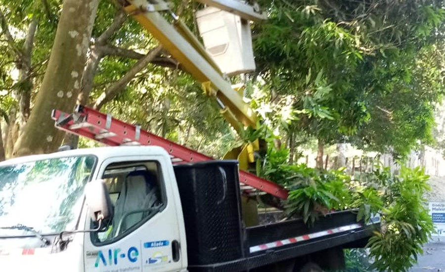 Realizan podas preventivas en la zona turística del Atlántico