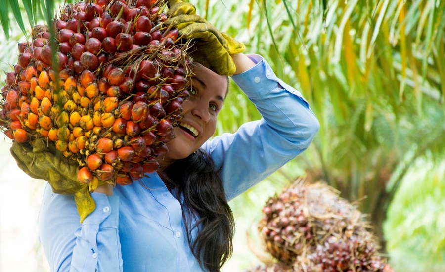 Premio Mujer Palmera 2021 abre postulaciones con nuevas categorías y más impulso al emprendimiento