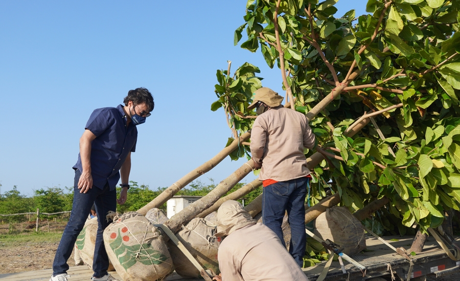 El vivero ‘Río Dulce’, donde crecen los sueños de una biodiverciudad en Barranquilla