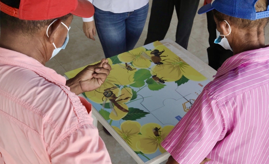 Por proyecto Cartagena – Barranquilla y Circunvalar de la Prosperidad, campesinos del Atlántico ven en el cultivo y cuidado de abejas una alternativa de ingresos