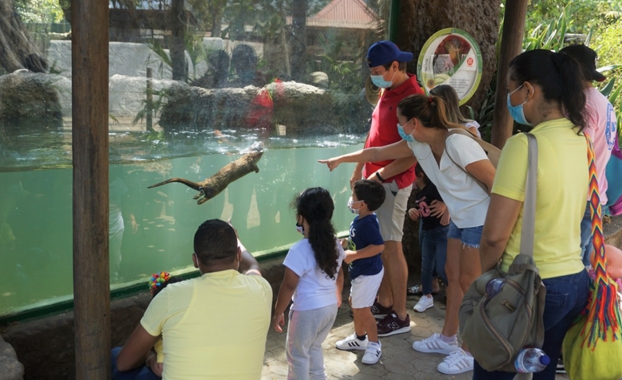 En el Zoológico de Barranquilla, punto de vacunación contra la COVID-19, el sarampión y rubéola