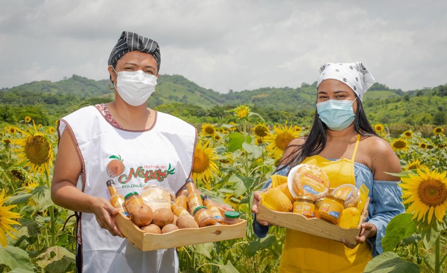 Con girasoles a bordo, el níspero y el mango se estrenan en la ruta gastronómica de Sazón Atlántico