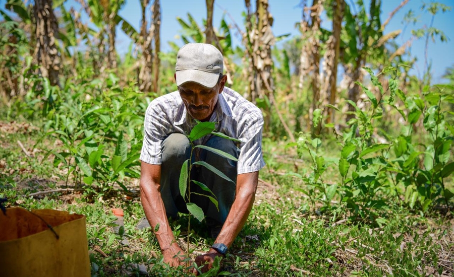 Fondo emprender dispone $9 mil millones para emprendedores del campo