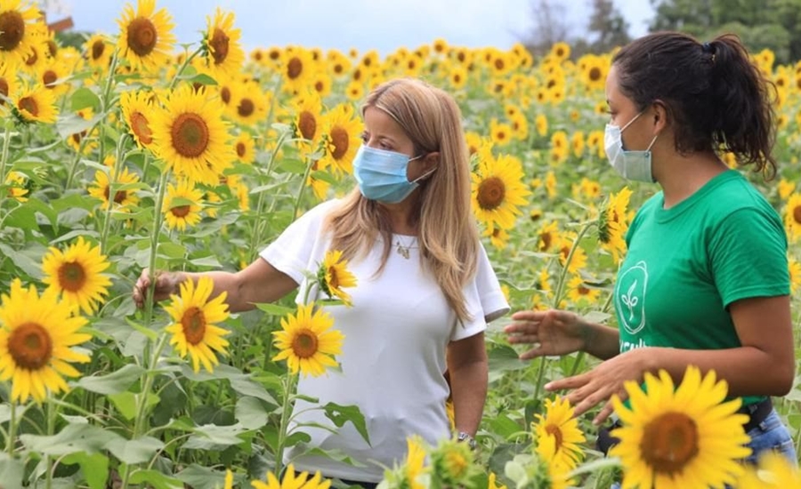 Malambo será la próxima parada de ‘La Ruta del Girasol’