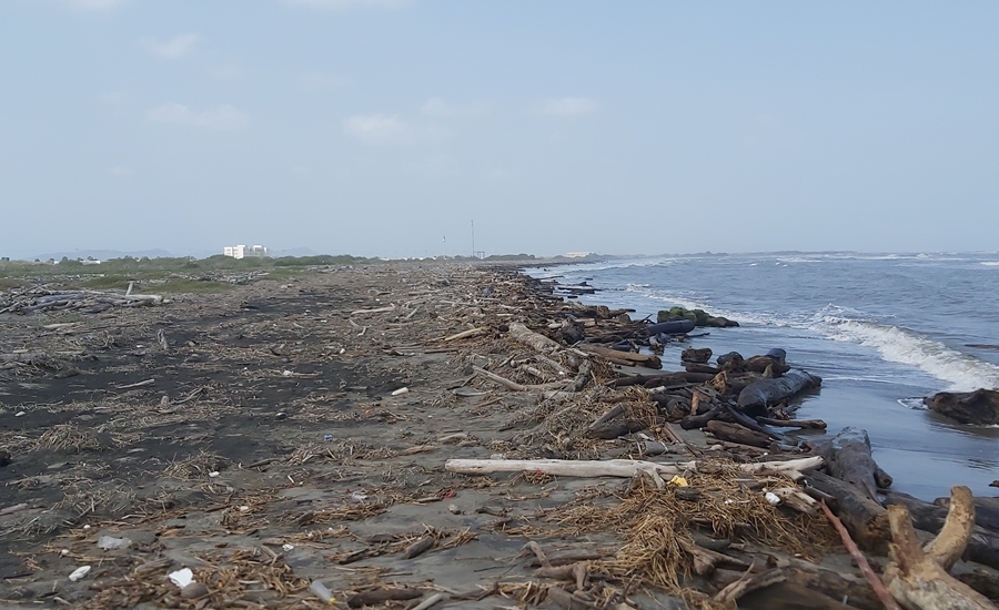 “Acuerdos locales” para la disminución de residuos plásticos con enfoque de economía circular en el Atlántico