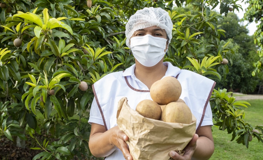 Más de 2.800 productos de mango y níspero se vendieron en Sazón Atlántico