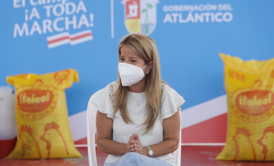 «Estamos apoyando a 550 familias rurales del Atlántico para que tengan un proyecto productivo y generen ingresos»: Elsa Noguera