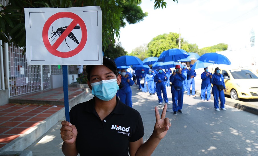 Con la estrategia ‘Mi casa limpia sin dengue’, Distrito se suma a día internacional para prevenir la enfermedad
