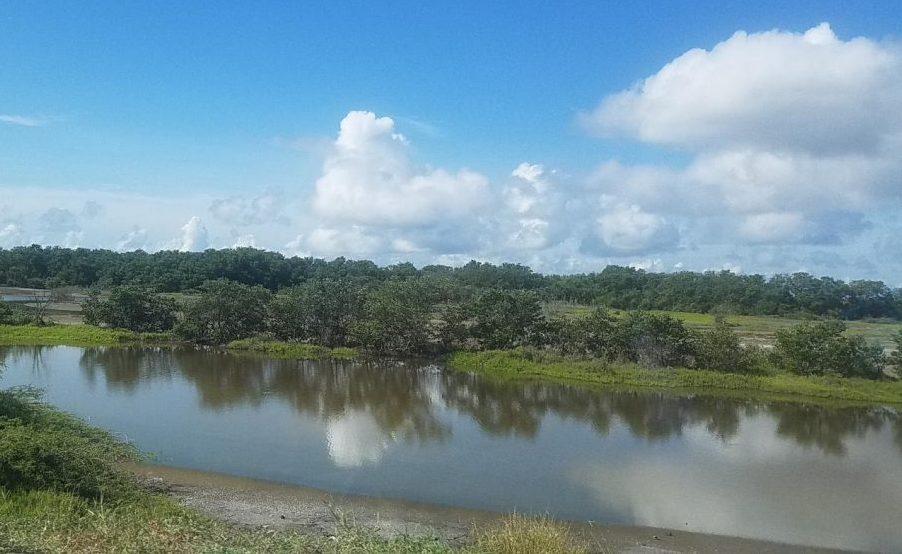 Desde Leticia, Amazonas, Presidente Iván Duque lidera este lunes la PreCOP de la Biodiversidad