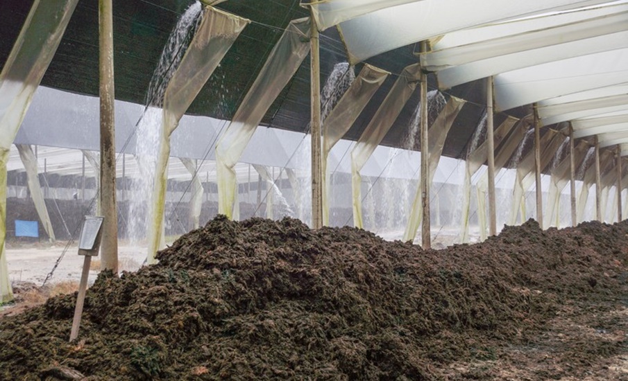 La biomasa, clave para potencializar el negocio palmero