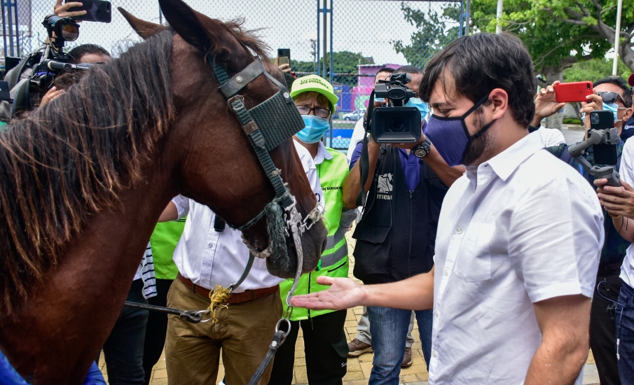 El abecé del programa con el que Barranquilla sustituirá los vehículos de tracción animal
