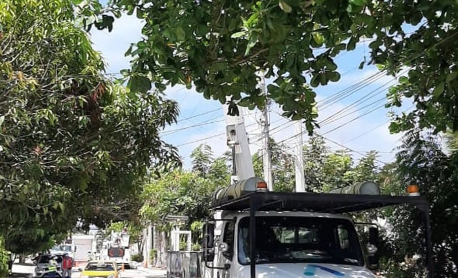 Air-e realiza mejora de redes eléctricas en sectores de San Francisco y Soledad