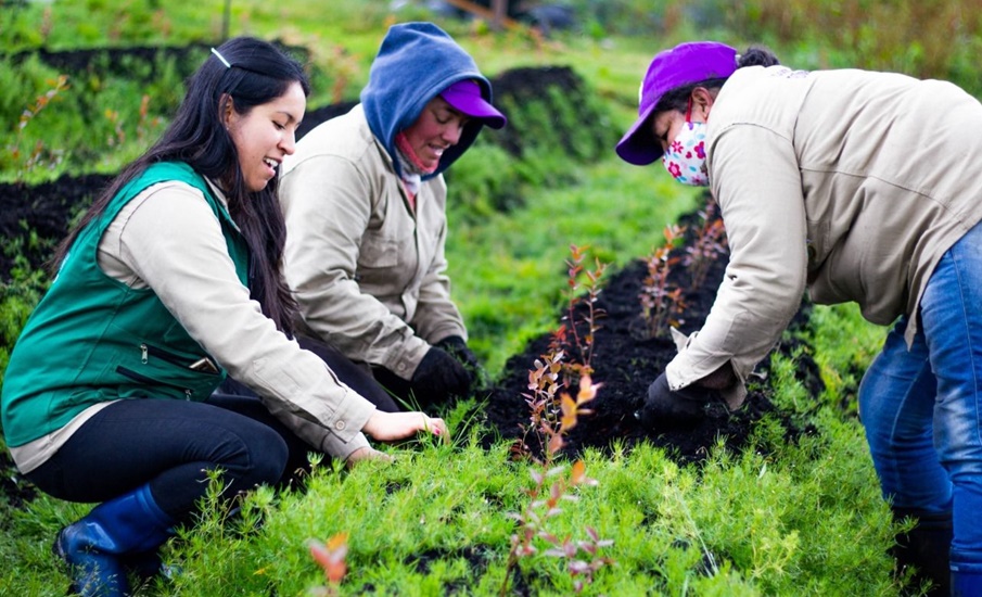 Abierta convocatoria por $8 mil millones para emprendimiento femenino en el sector rural