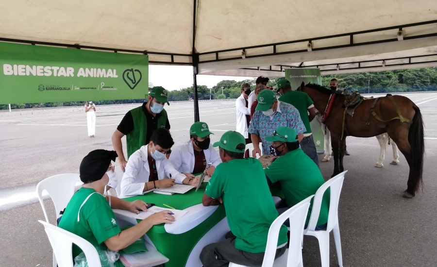 Avanza el Plan Integral de Sustitución de Vehículos de Tracción Animal en Barranquilla