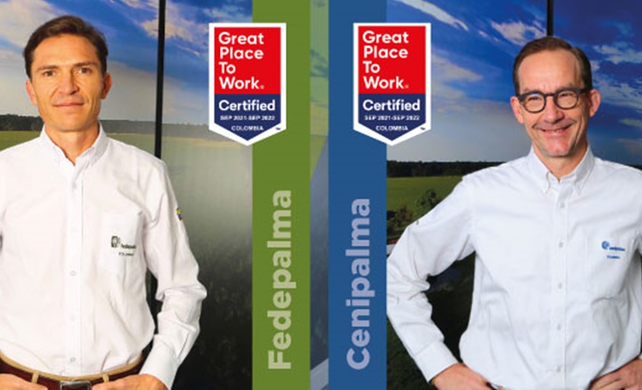 Fedepalma reconocida por Great Place To Work como un gran lugar para trabajar