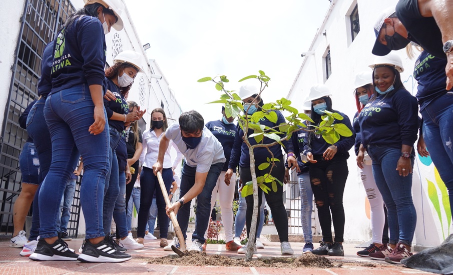 Sembrar, cultivar y crear jardines, resocialización ‘verde’ para internas en El Buen Pastor