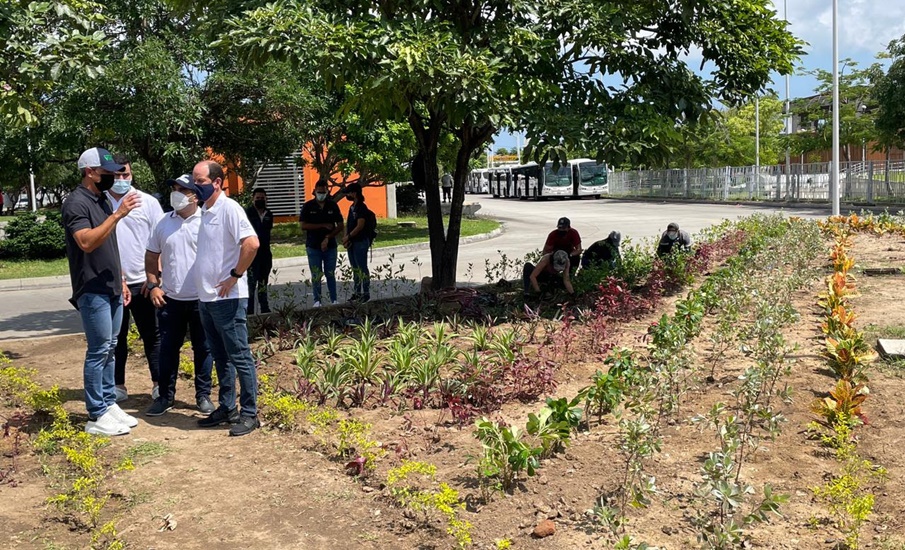 Transmetro se une a la campaña `Barranquilla cultiva´