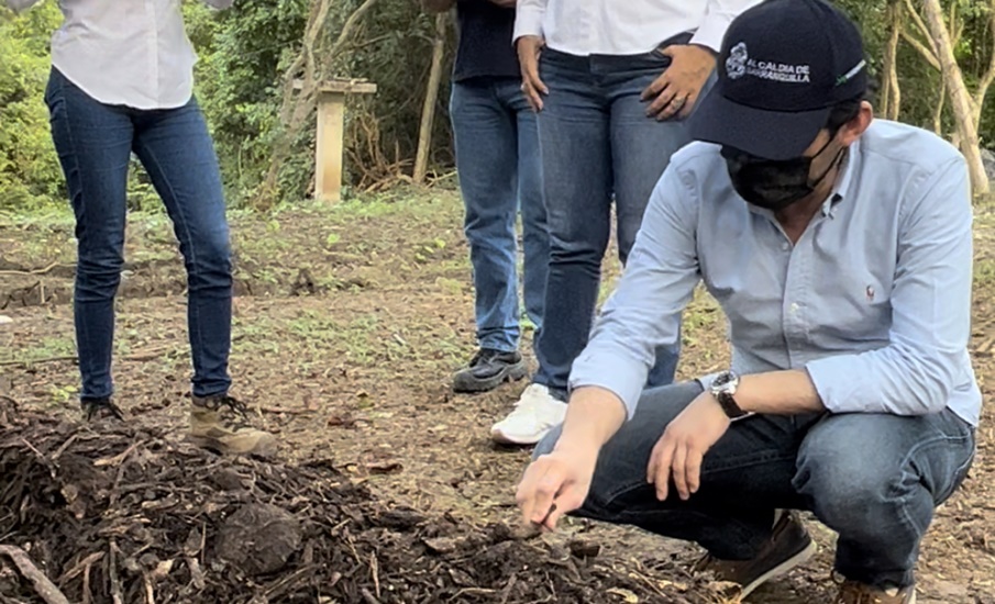 El reto de ser una biodiverciudad: así es el piloto con el que Barranquilla aprovecha los residuos orgánicos del mercado El Playón