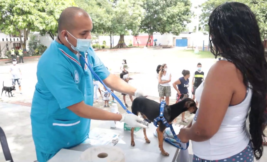 Exitosa jornada de bienestar animal en Malambo