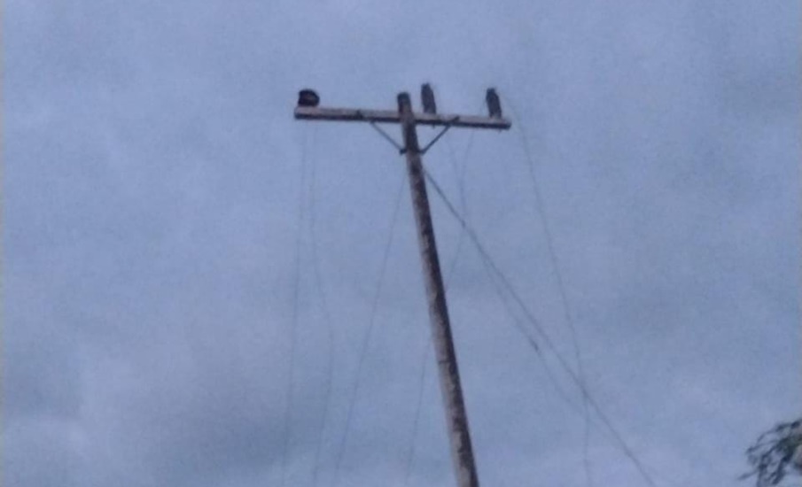Nuevo robo de cables eléctricos en zona rural de Campeche