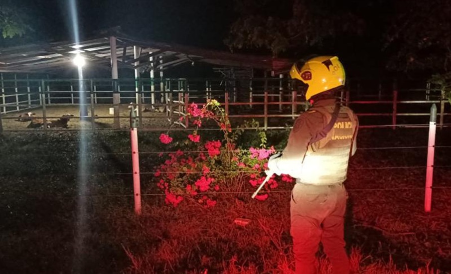 Con visistas finca a finca, Gobernación del Atlántico y Policía buscan contrarrestar el hurto de ganado en municipios